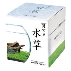 ヨドバシ Com 聖新陶芸 Gd 841 栽培キット 育てる水草 Ll 通販 全品無料配達