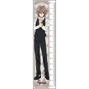Fate/Apocrypha 定規 ジーク [約160×4mm]