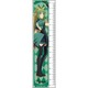 Fate/Apocrypha 定規 赤のアーチャー [約160×4mm]