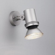 屋外スポットライト ランプ別売り AN-2959
