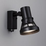 屋外スポットライト ランプ別売り AN-2963