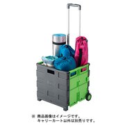 BD-318 [ボックスキャリーカート]