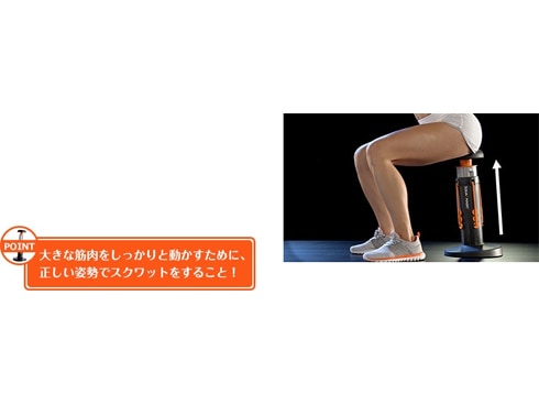 ヨドバシ.com - ショップジャパン Shop Japan スクワットマジック Squat Magic [エクササイズマシン] 通販【全品無料配達】