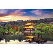 10-1315 金閣寺絢爛（京都） [ジグソーパズル 1000ピース（完成サイズ:50×75cm）]
