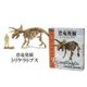 恐竜発掘 トリケラトプス