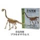恐竜発掘 ブラキオサウルス