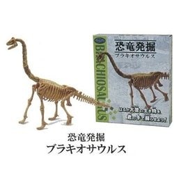 恐竜発掘 ブラキオサウルス