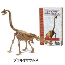 スケルトン・キット ブラキオサウルス