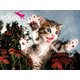 13568 [3Dパズル 猫びっくり！ 100ピース]