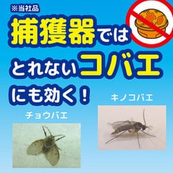 ヨドバシ Com 大日本除虫菊 コバエがいなくなるスプレー 60回用 通販 全品無料配達