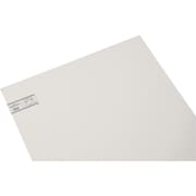 ペットエース 白 600x900x3.0mm PAW96-30