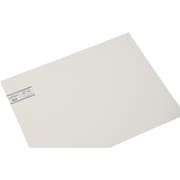 ペットエース 白 450x600x3.0mm PAW46-30