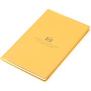 ポケットマンスリーダイアリー TRANSPARENCY(トランスペアレンシー) 2018年4月始まり イエロー DM243-T-05