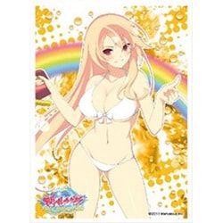 ヨドバシ.com - エンスカイ ensky キャラクタースリーブ 閃乱