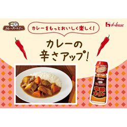 ヨドバシ.com - ハウス食品 カレーパートナー 辛味オイル 31g [調味料