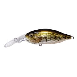 DEEP-X 100 LBO (ディープX 100 LBO) GG バス