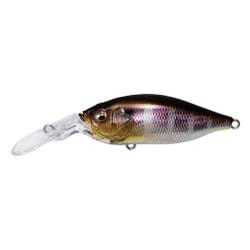 DEEP-X 100 LBO (ディープX 100 LBO) GG ギル