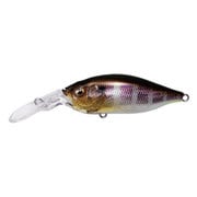 DEEP-X 100 LBO (ディープX 100 LBO) GG ギル