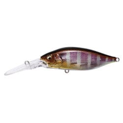 DEEP-X 200 LBO (ディープX 200 LBO) GG ギル