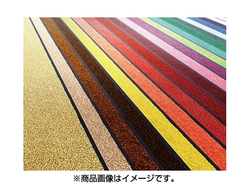 玄関マット 玄関マット wash+dry(ウォッシュ アンド ドライ) Lapas 50×75cm
