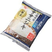 生鮮米 無洗米 宮城県産ササニシキ 2合パック
