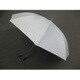 COOLUV 晴雨兼用 L ラメ顔料 22199309810010
