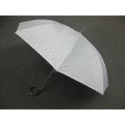 22199309810010 [COOLUV 晴雨兼用 L ラメ顔料]