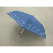 22199309810275 [COOLUV 晴雨兼用 TPM ラメ顔料]