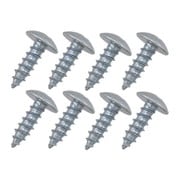 46724 [スマートレグ用ネジ ユニクロメッキ 5x16mm 8本入]