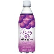 ぶどう香るサイダー 500mL [24本]