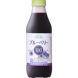 順造選 ブルーベリー 100 500ml [果実飲料]
