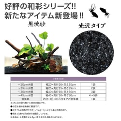 ヨドバシ.com - コトブキ工芸 KOTOBUKI 和彩 漆黒 1kg 通販【全品無料