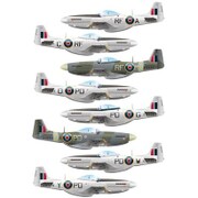 48102 [1/48 P-51D コシチュシコ中隊]