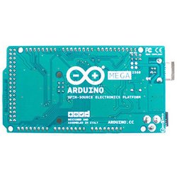 yurio-annchan商品 333280913067781_s.jpg?1660886216