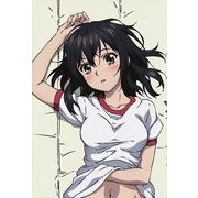 ストライク・ザ・ブラッド 描き下ろし 枕カバー 雪菜 [キャラクターグッズ]