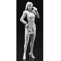ヨドバシ.com - ハセガワ Hasegawa FC01 [1/24 フィギュア