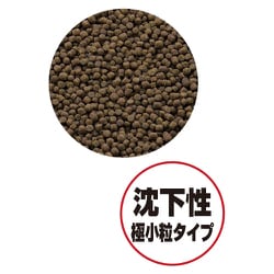 小魚家族パパ 様★専用 パワーボックス SV550X(販売終了) | 水中生物用品・水槽用品