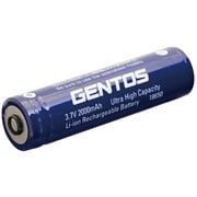 SG-39SB [懐中電灯専用充電池]