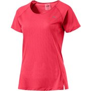 516822 03 L コアラン SS Tシャツ