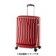 スーツケース 旅行日数目安：1～2泊 36L TSAロック搭載 GALE-F18 レッド