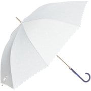 長傘 ドットサークル 60cm グレー [傘]