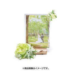 ディスプレイアイテム アクリルスタンド プランツ DIS-AFF-PL