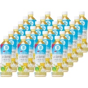 伊右衛門 ジャスミン 525ml×24本