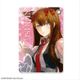 STEINS;GATE シュタインズ・ゲート レザーパスケース 01 牧瀬紅莉栖 [約H100×W68mm]