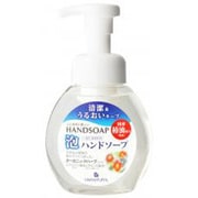 泡ハンドソープ 本体 250ml [ハンドソープ]