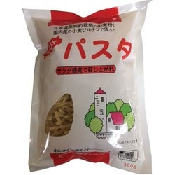 ツイストパスタ (北海道産契約小麦粉) 300g
