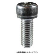 62838 [ステン 六角穴付きボルト M16×80 (10)]