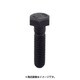 365-816 [8.8T生地 六角中ボルト M16×100 (10)]
