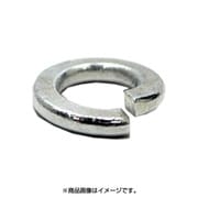 368-360 [ドブメッキ ばね座金 M16 (10)]