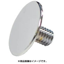クローム装飾ねじ低頭 (20-1)M6×10 557-195